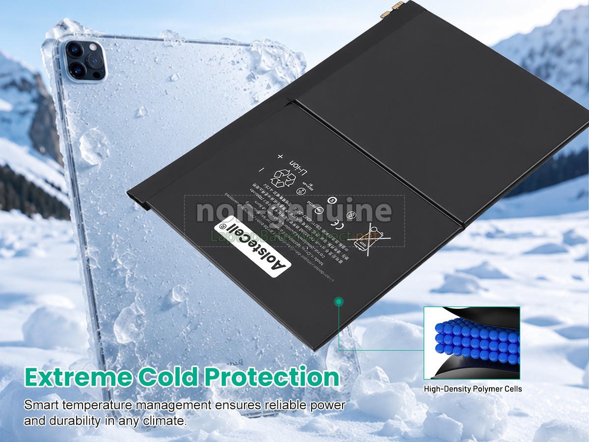 replacement Apple iPad 10TH GEN 2022 battery