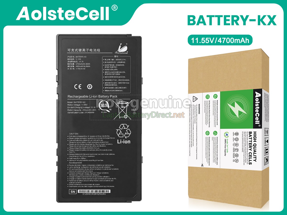 replacement Iray 1717 battery