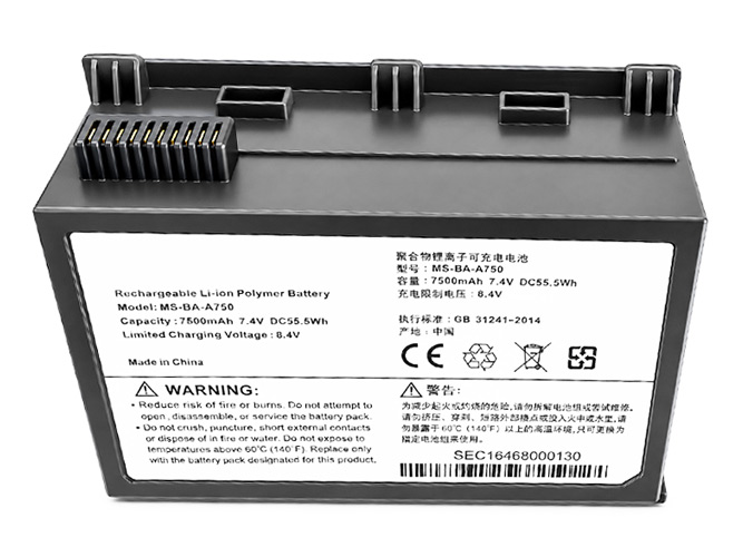 Micsig HS1220 battery