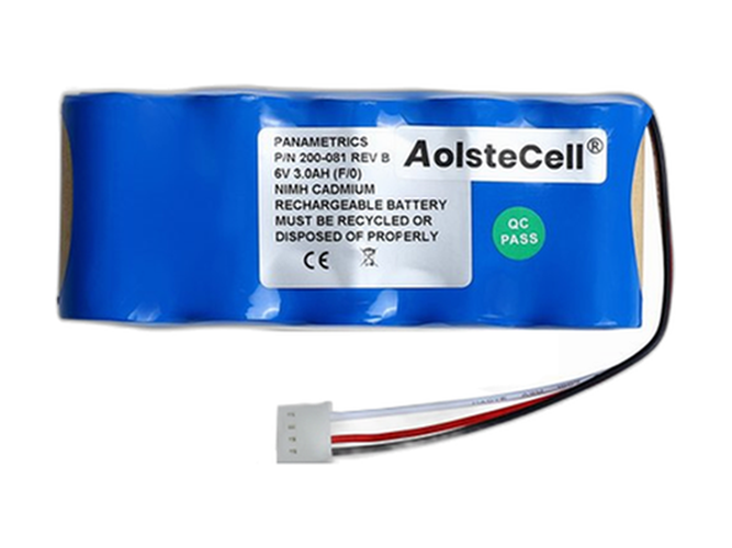Panametrics PT878 Flowmeter battery