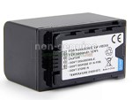 Replacement Battery for Panasonic VW-VBD58 laptop