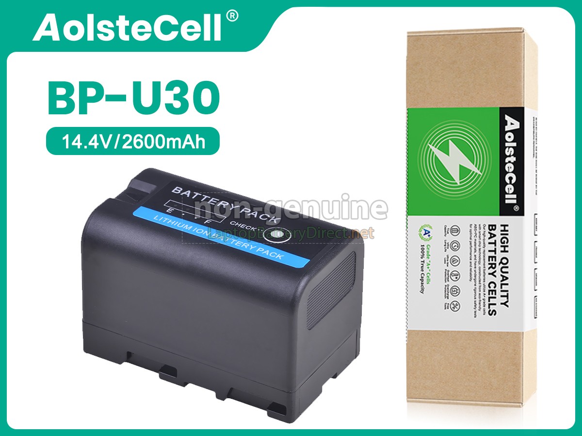 replacement Sony BP-U30 battery