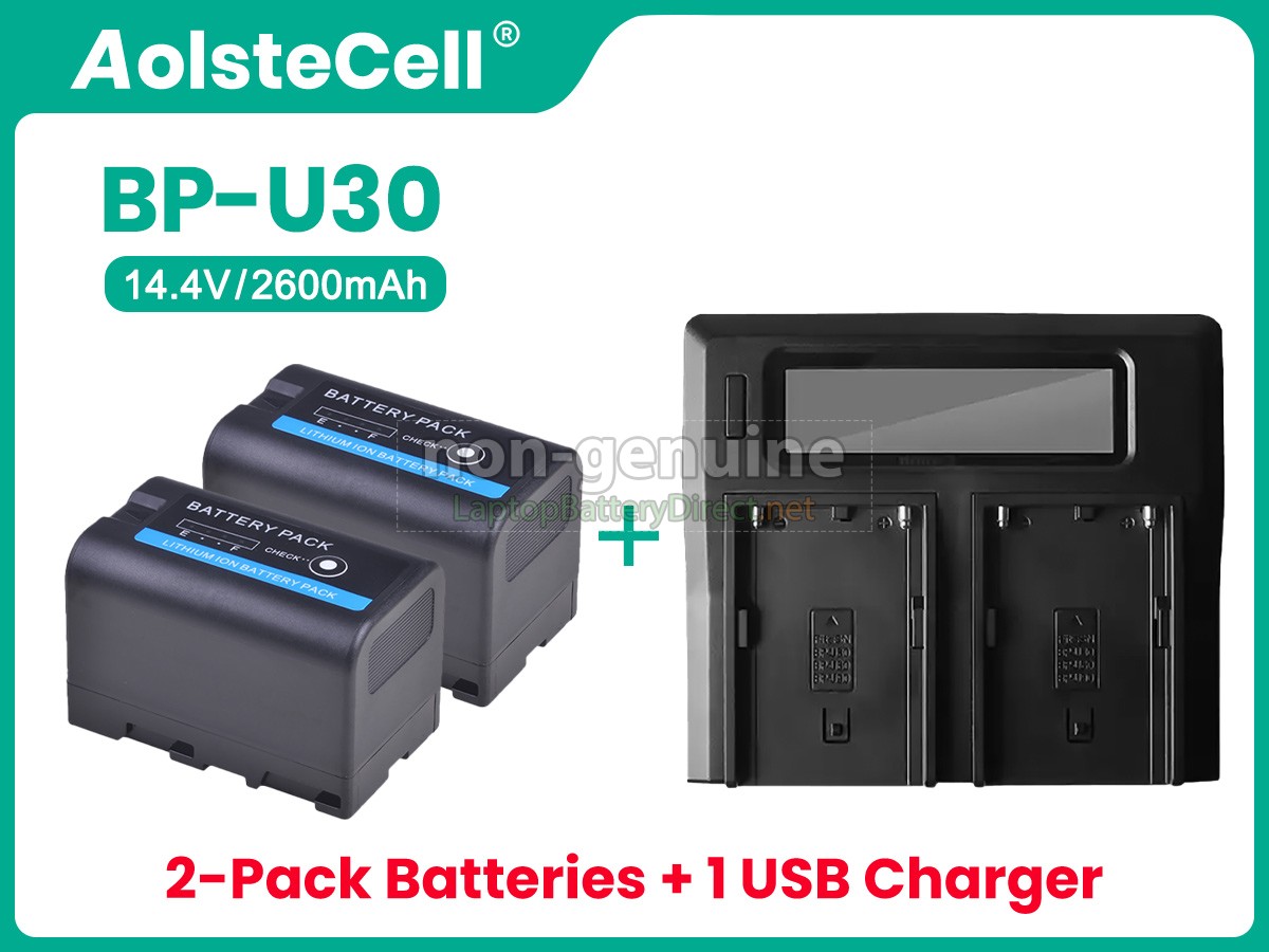 replacement Sony BP-U30 battery