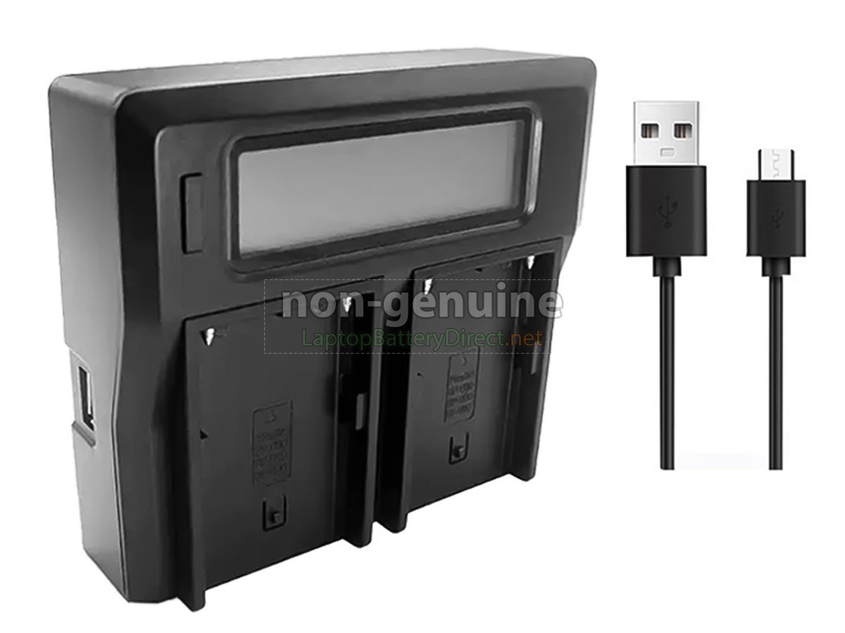 replacement Sony BP-U30 battery